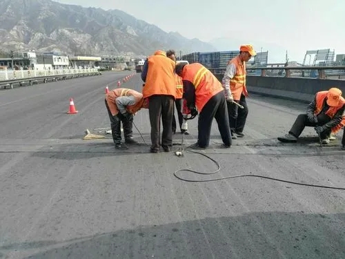 清水河道路桥梁病害治理